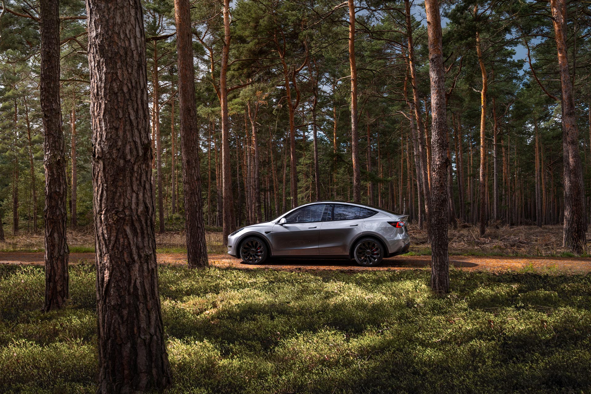 Tesla Model Y leasen